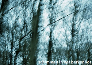 anita snik-broeken, fotografie, schimmen in het berkenbos